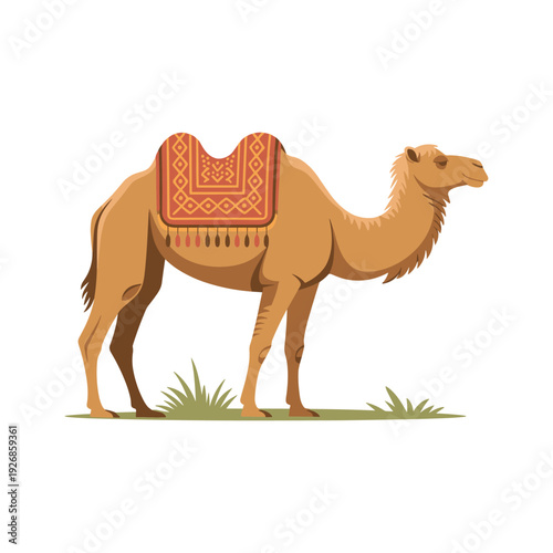 Desert Camel with Ornamental Saddle Traditional Middle Eastern Vector Illustration