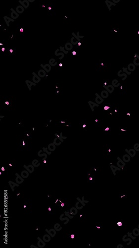 Seamless Loop Falling Pink Flower Petals Vertical with Alpha Channel, Realistic Ume Plum Blossom Romantic Spring Background, 4K ProRes 4444