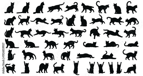 Collection of black cat silhouettes in various poses 1