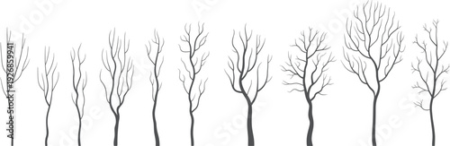 Minimal leafless tree silhouettes set, thin winter forest illustration, bare woodland nature elements isolated on white background
