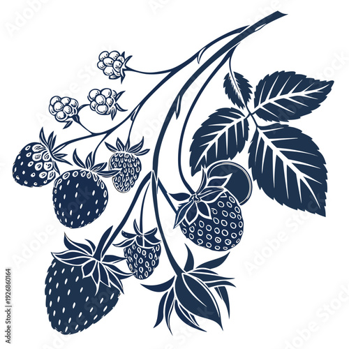 branch of mixed berries