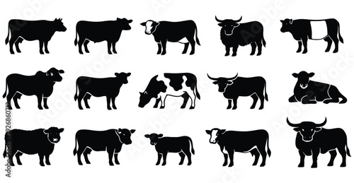 Collection of black cow and bull silhouettes on white