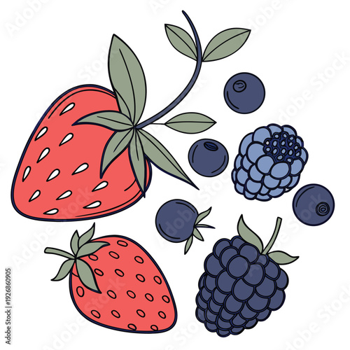 mixed berries colorful on white background