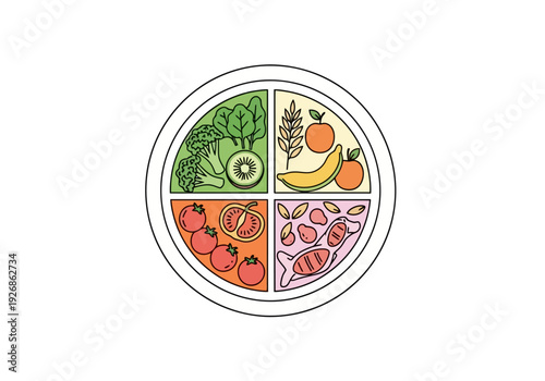 Healthy Balanced Plate Diet Food Groups Nutrition Meal Planning For Wellness And Balanced Eating