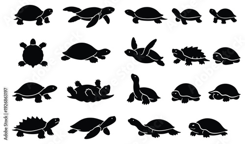 Collection of black turtle silhouettes in various poses