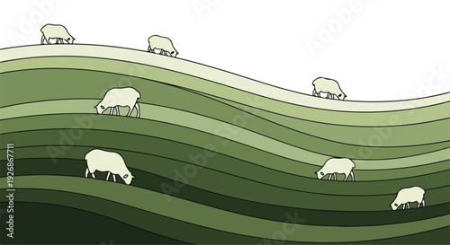 Illustration of white sheep grazing on a layered green hillside with varying shades of green in a flat, graphic style.