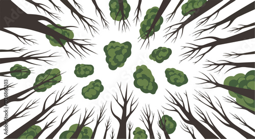 Overhead view of multiple tree tops with bare branches and green leaves on white background.