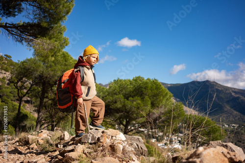 Canvas-taulu Focused young boy hiking on mountain trail, standing on rock with backpack, expl