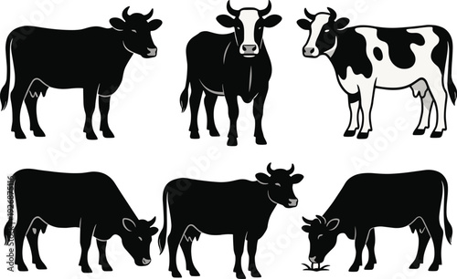 Set of black and white cow silhouettes, dairy cattle icons, grazing farm animal vector illustrations for butcher shop and dairy branding.