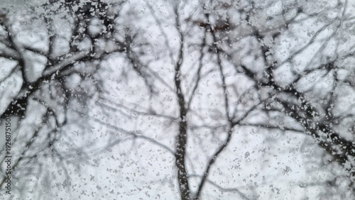 Snow on the car window, snowflakes on the car glass.
Trees in the snow. Winter landscape. Snow covered trees. Selective focus
