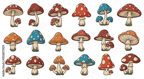 Assorted colorful mushroom illustrations including fly agaric and blue fungi varieties arranged in a diverse botanical set.