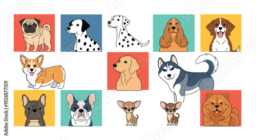 Collection of diverse dog breed illustrations featuring portraits and full body views of pugs huskies bulldogs and more.