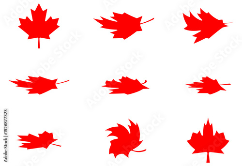 Set of 9 creative twisted Canadian maple leaf vector design elements