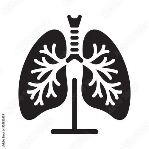 Simple illustration of human lungs with trachea and bronchi
