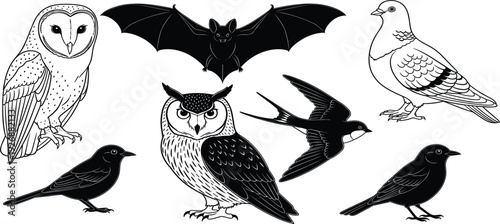 Birds Line Art Collection Featuring Owl, Bat, Pigeon, Crow and Swallow in Detailed Hand Drawn Black and White Wildlife Vector Illustration Set