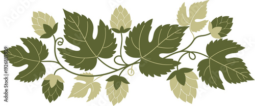 Decorative botanical illustration of hop vines with lush green leaves and mature cones, perfect for craft beer labels, brewery branding, or natural ingredient designs