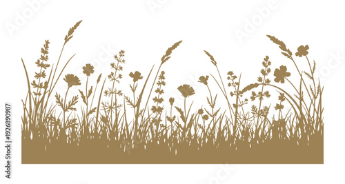 A vibrant mix of wildflowers and grass. This hand-drawn vector illustration features flowers from the spring or summer season. Shadows of various herbs and plants are visible. Nature captured .