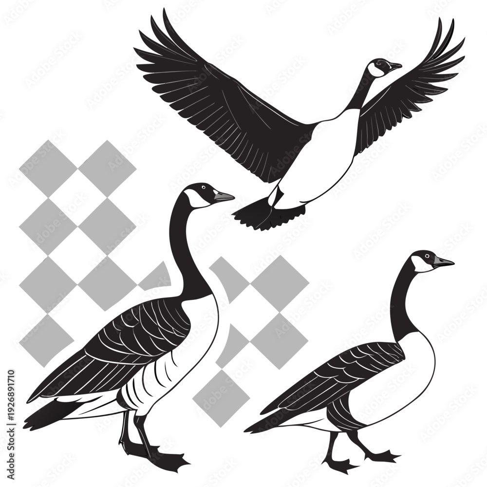Obraz premium Black and white geese on a checkered background Vector