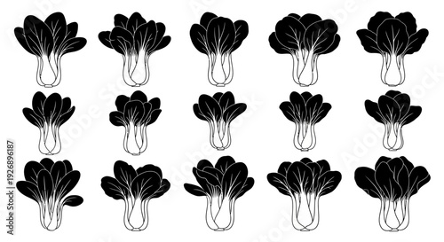 Black and white illustration of multiple bok choy vegetables arranged in rows on a plain background