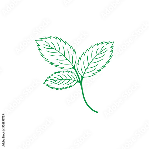 Clean and scalable mint leaf logo vector symbol template for brand identity.