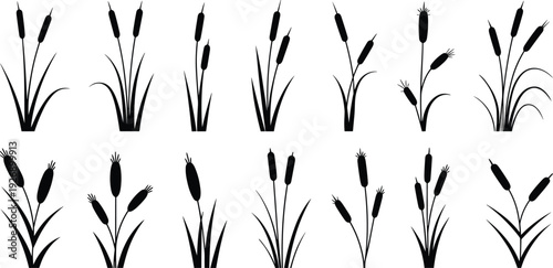 Black and white of various wheat stalk arranged in a grid pattern stalks