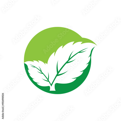 Clean and scalable mint leaf logo vector symbol template for brand identity.