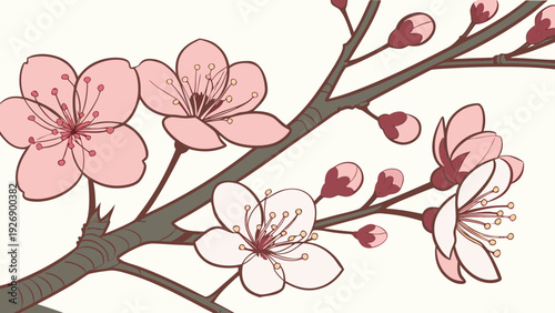 cherry blossom branch