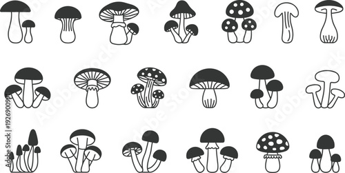 Collection of various black and white mushroom in different shapes and sizes arranged in a grid pattern