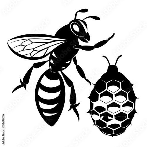 A detailed illustration of a wasp and a parasitic wasp larva Vector