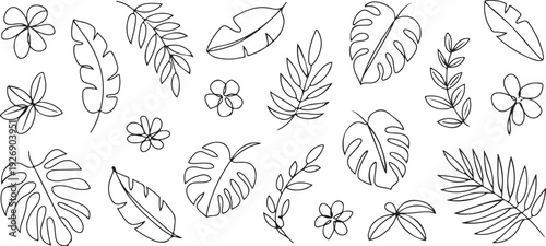 leaf vector illustration tropical foliage floral line art elements