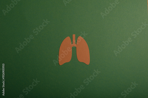 Artistic depiction of lungs...
