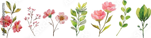 spring flowers vector illustration