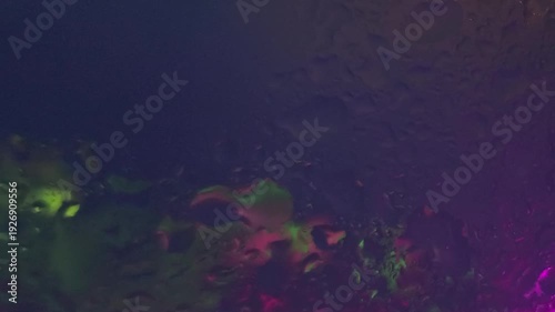 Close-up shot of neon-lit plants and flowers against a dark background with a vibrant and colorful mood.