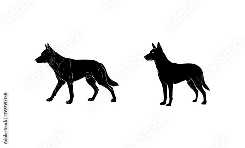 Set of German Shepherd dog silhouettes, faithful domestic pet in standing and walking poses, canine animal vector collection.