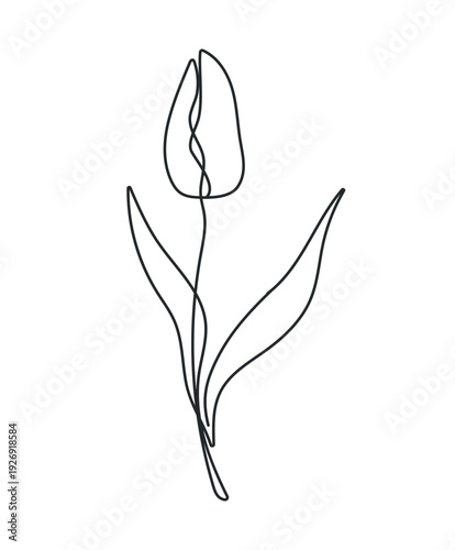 Mother's Day tulip line art with flowing continuous drawing	