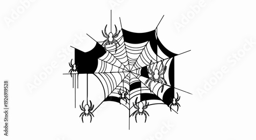 Spooky spiders dangle on intricate webs in stark black and white