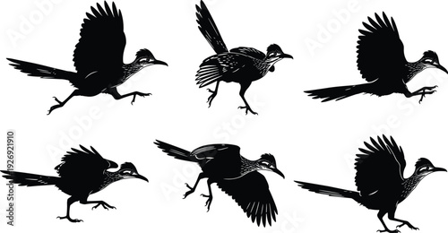 Detailed black silhouette collection of roadrunners in motion showing various running and jumping poses isolated on a white background for desert wildlife design.