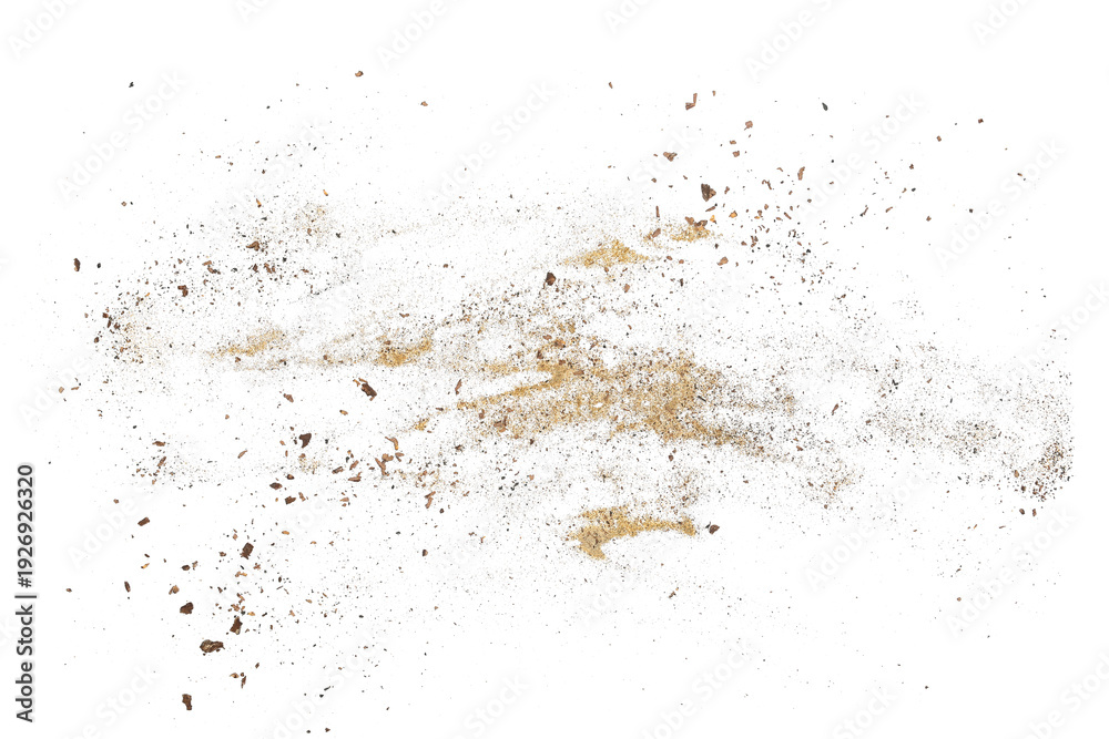 Obraz premium Sand, ashes and pieces of tree bark flying, dust isolated on white background and texture, clipping path