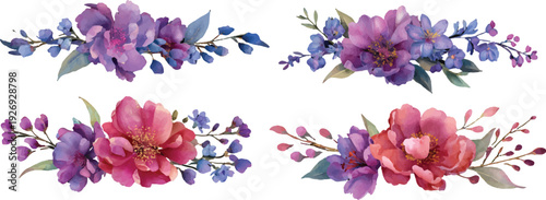 spring crocus flowers