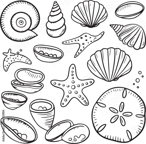Black and white illustration of various seashells and starfish