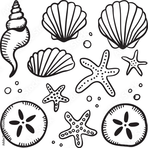 Black and white illustration of various ocean sea shells and starfish