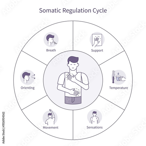 Somatic Regulation Cycle Infographic Illustration
