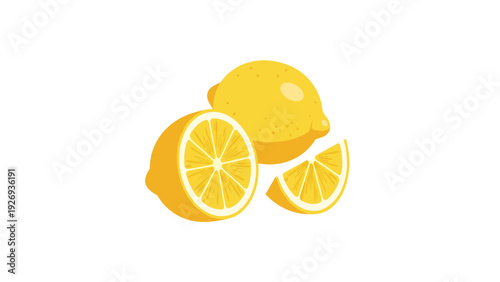 fresh whole lemon with half and quarter slices in bright hand drawn style for food design