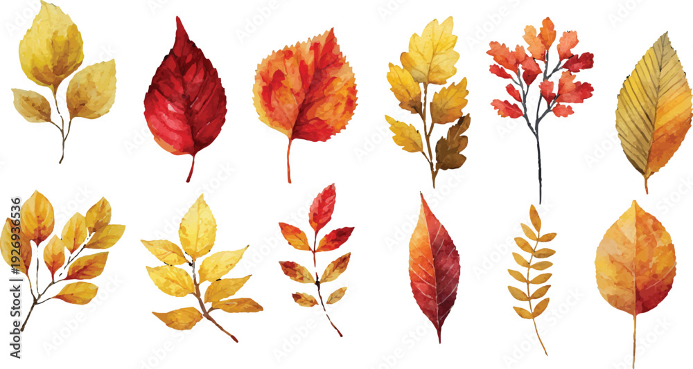 Obraz premium autumn leaves vector illustration