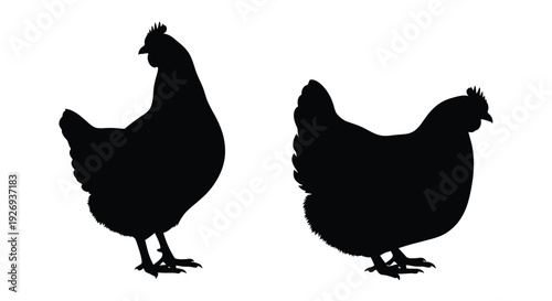 Two chickens depicted in a striking black silhouette