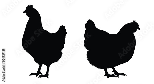 Two chickens standing side by side in a black outline silhouette