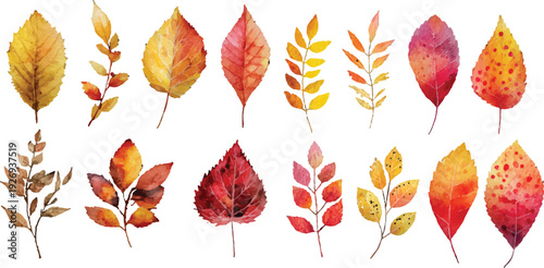 autumn leaves collection