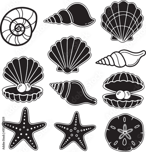Collection of various black and white ocean shell and starfish illustrations