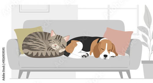 Cat and dog sleeping peacefully on a grey sofa together