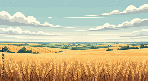 golden wheat field with rolling hills and cloudy sky in flat vector style nature landscape illustration